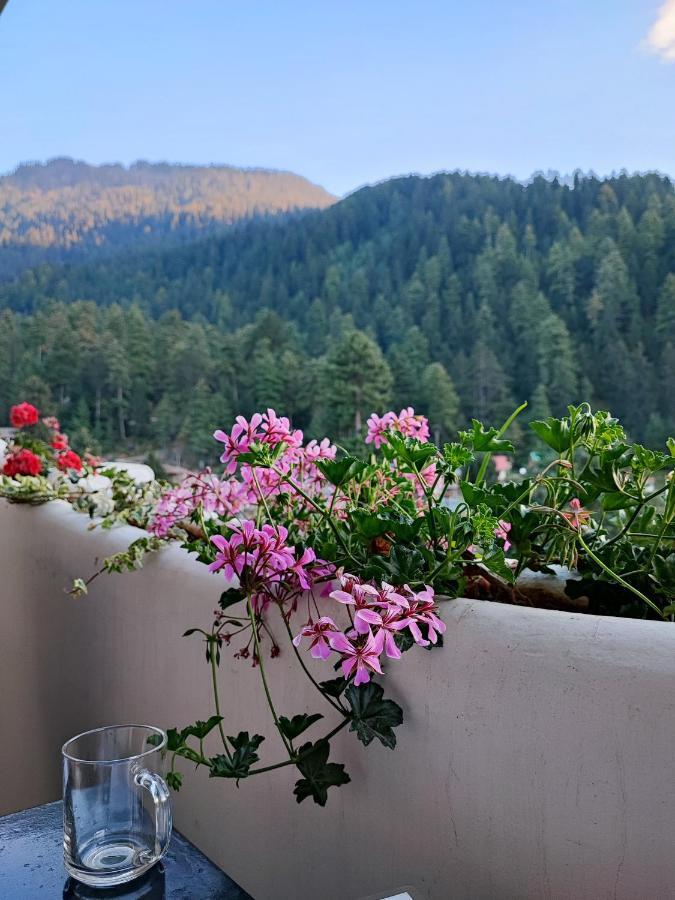 Indian Backpackers Hostel Manāli Eksteriør bilde